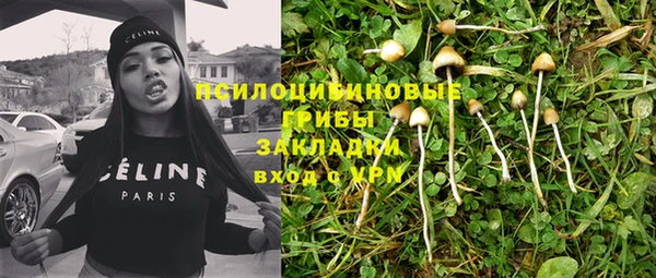 тгк Алзамай