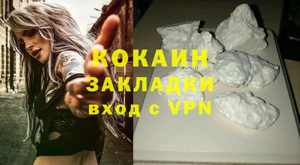 тгк Алзамай