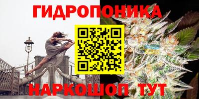 a pvp Гагарин