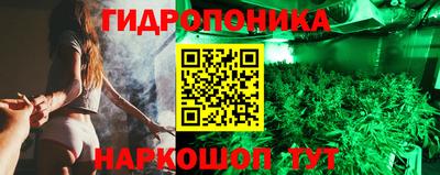 a pvp Гагарин