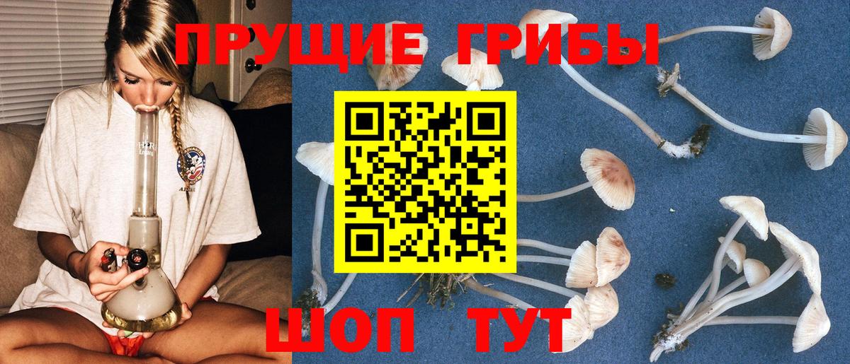 Галлюциногенные грибы Psilocybine cubensis  Вход с VPN  Нижний Тагил  Псилоцибиновые грибы ЛСД 