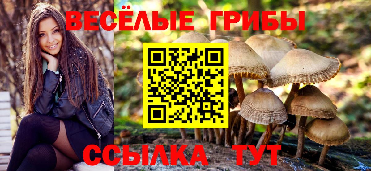 Псилоцибиновые грибы мицелий Нижний Тагил